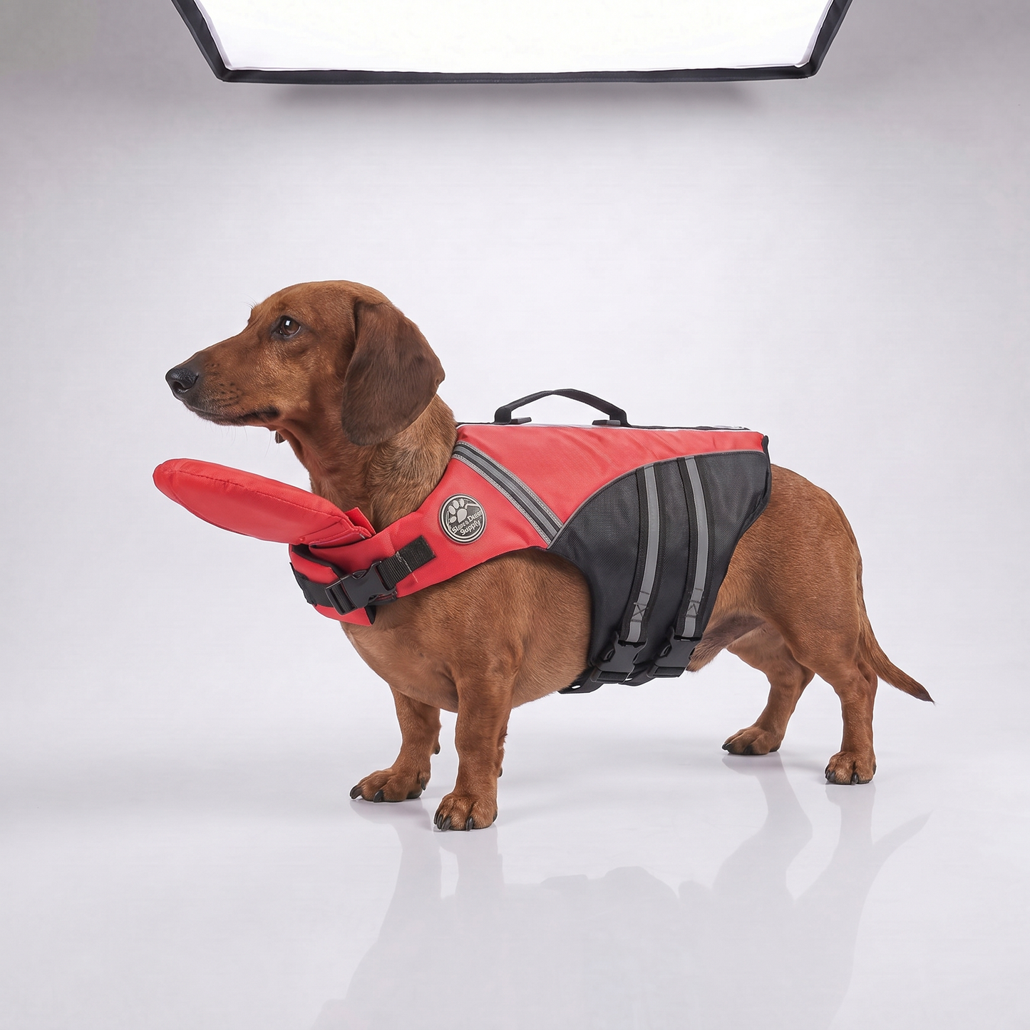 floaty - dog life jacket with chinlift head rest