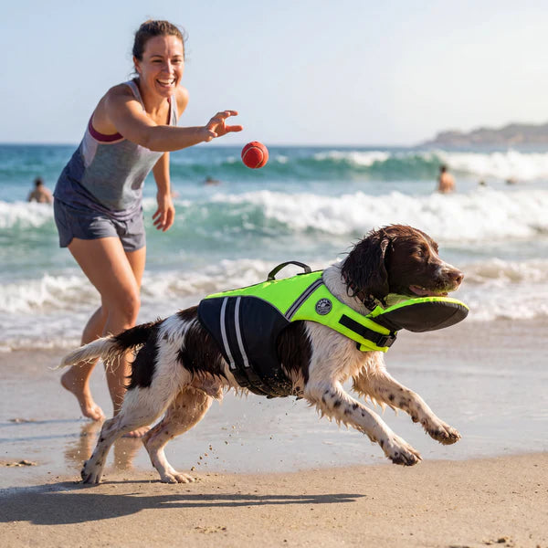 floaty - dog life jacket with chinlift head rest