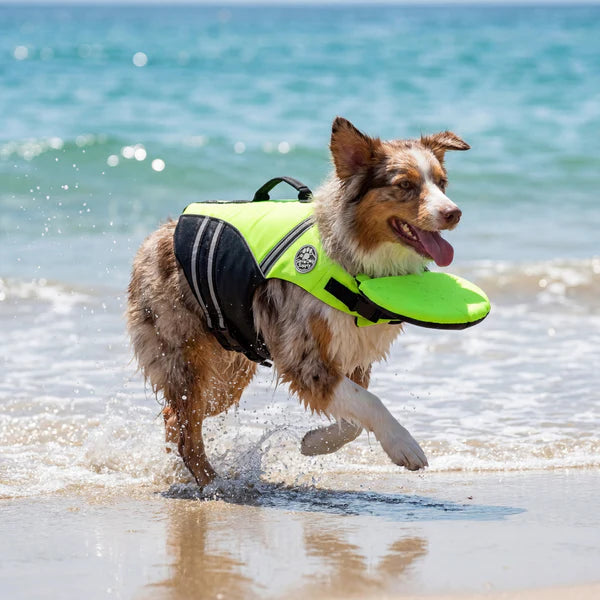 floaty - dog life jacket with chinlift head rest